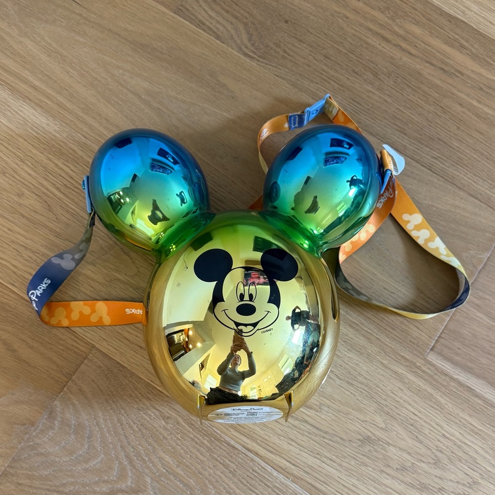 Disney Popcorn Bucket